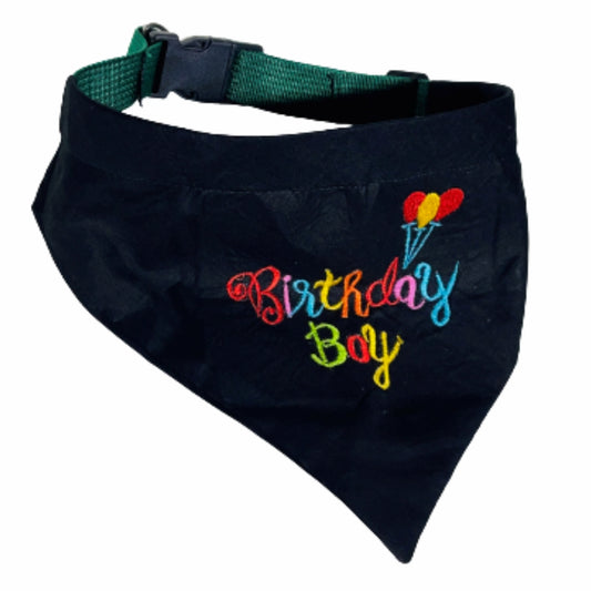 Birthday Star Bandanna Collar