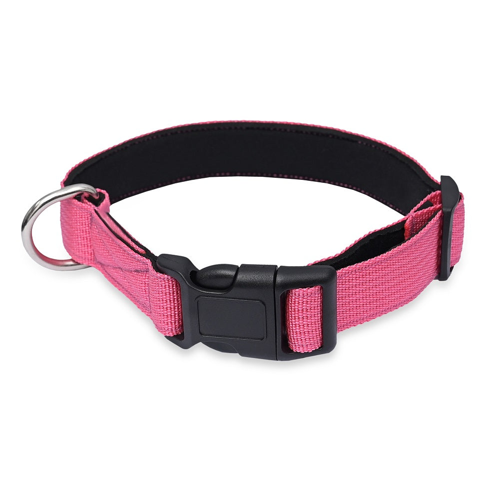 Comfort Fit Nylon Dog Collar