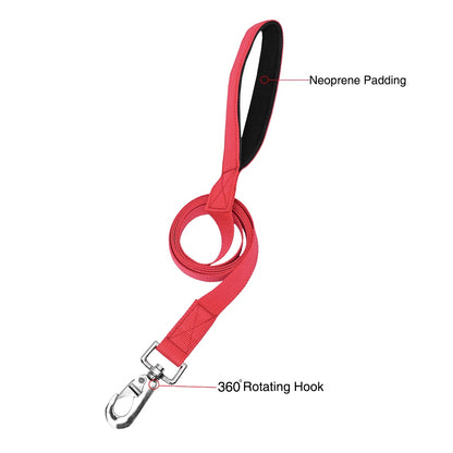 Durable Nylon Leash