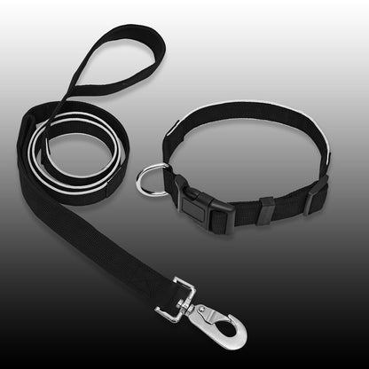 SafeStep Collar & Leash Set