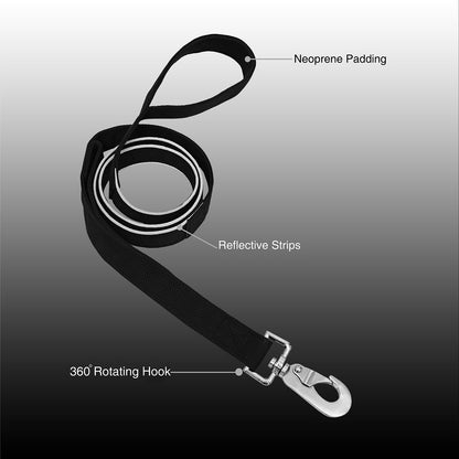 SafeStep Collar & Leash Set