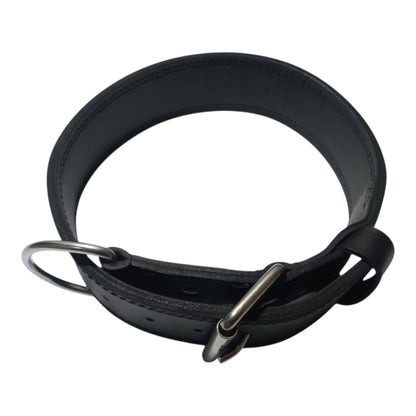 Premium Leather Training Collar