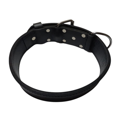 Premium Leather Training Collar
