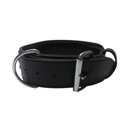Leather Padded Training Collar