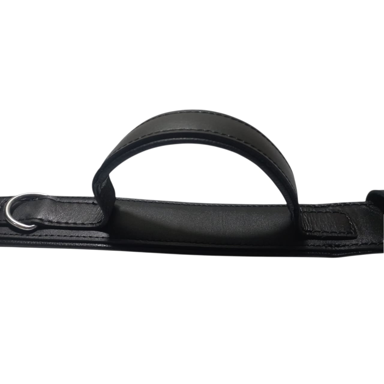 Leather Padded Training Collar