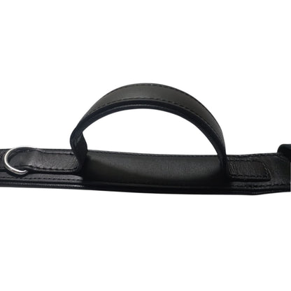 Leather Padded Training Collar