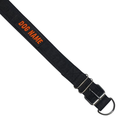 Heavy-Duty Nylon Collar