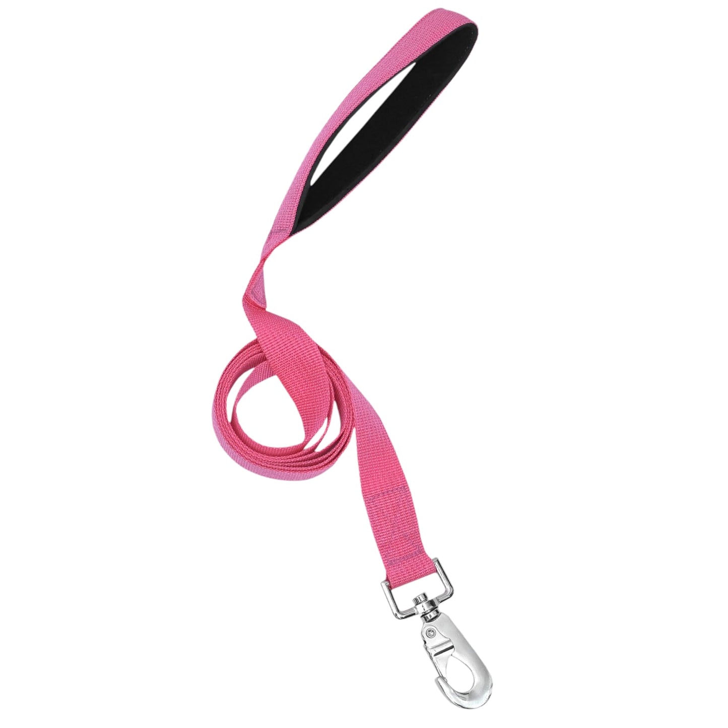 Durable Nylon Leash