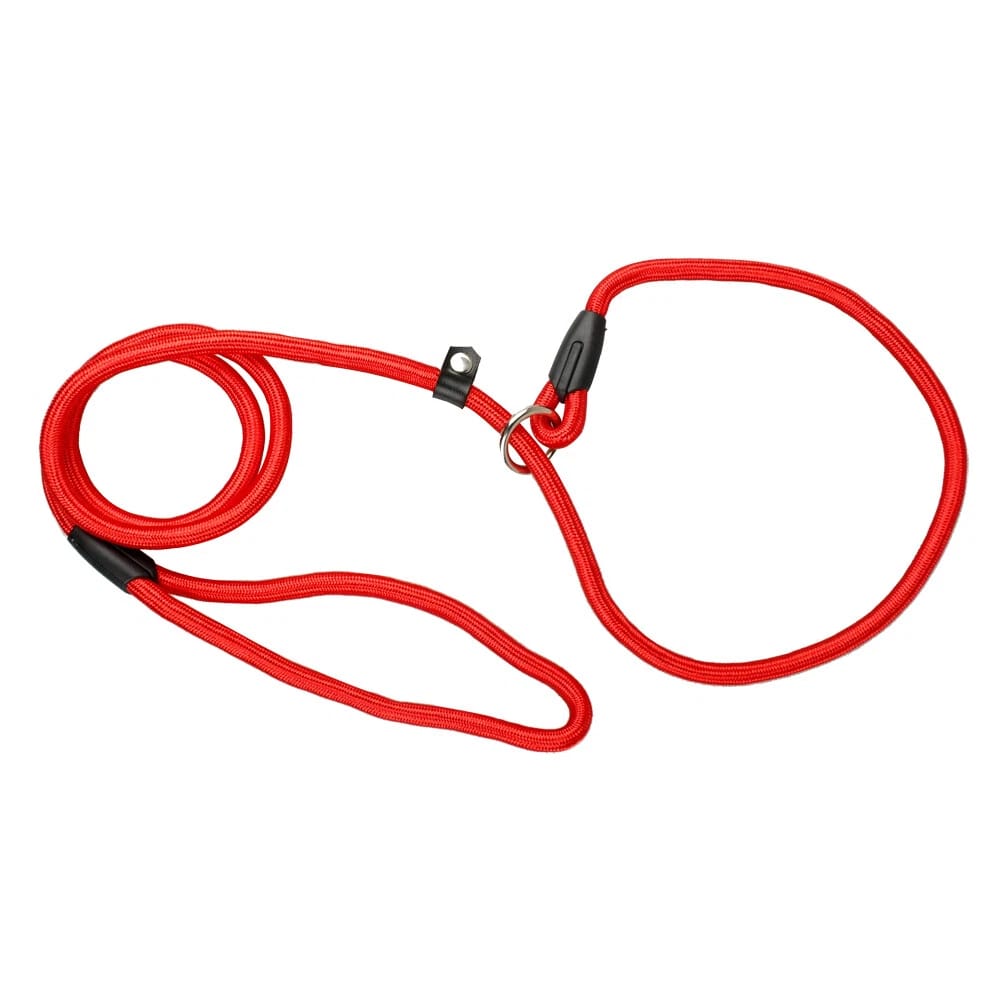 Durable Nylon Rope Leash