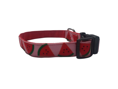 Melon Munch Collar